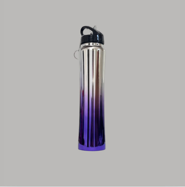 Garrafa Térmica Inox Metalizada 800ml