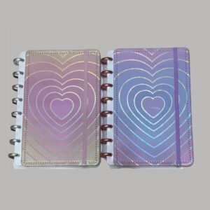 Caderno Inteligente 08 Discos Coração