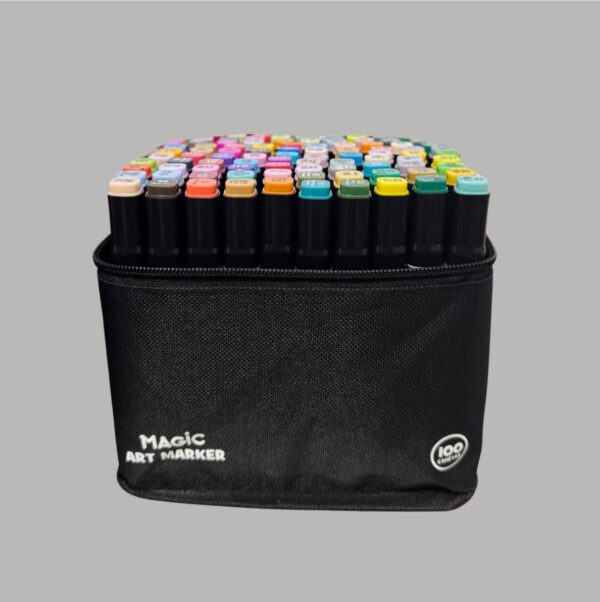 Canetinhas Estojo Com 100 Cores